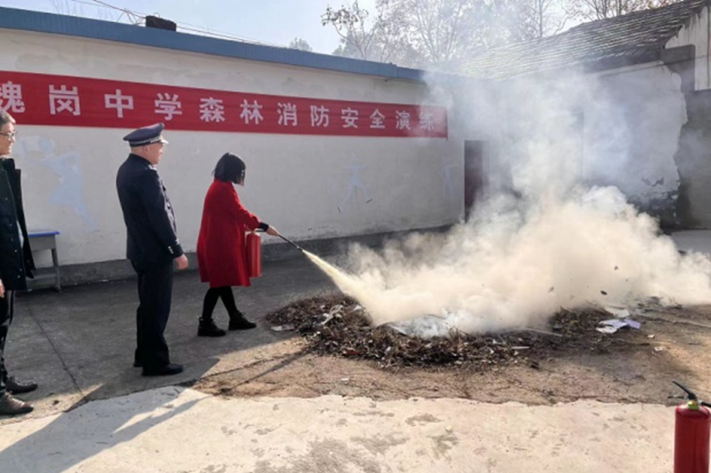 图片3.jpg 图片3.jpg