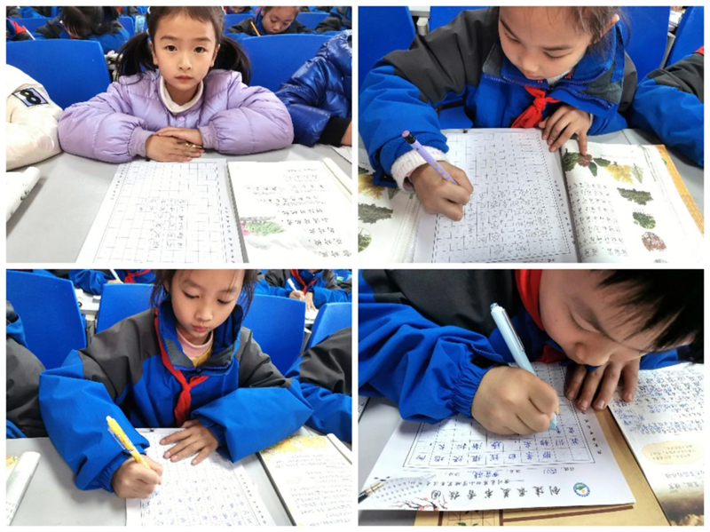 图片5.png 图片5.png