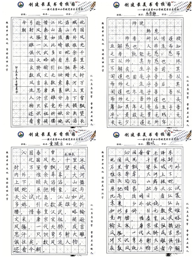 图片13.png 图片13.png