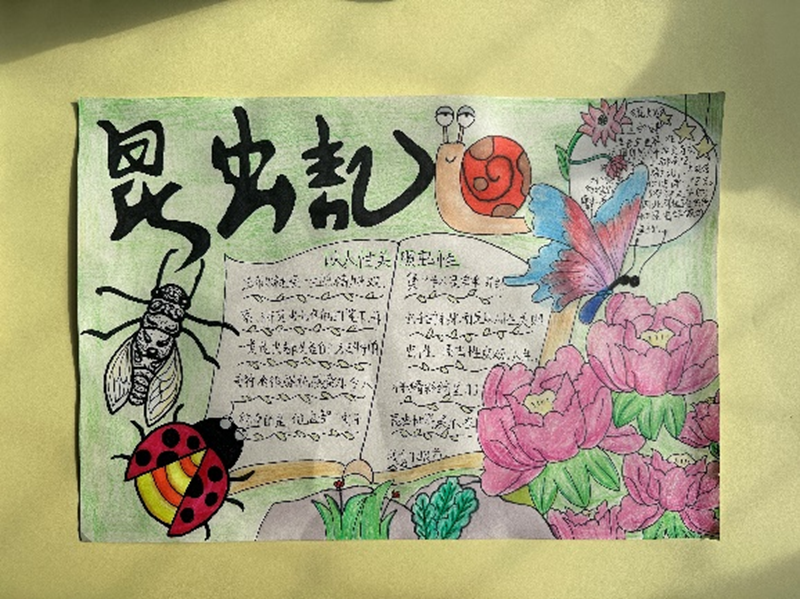 图片 5.png