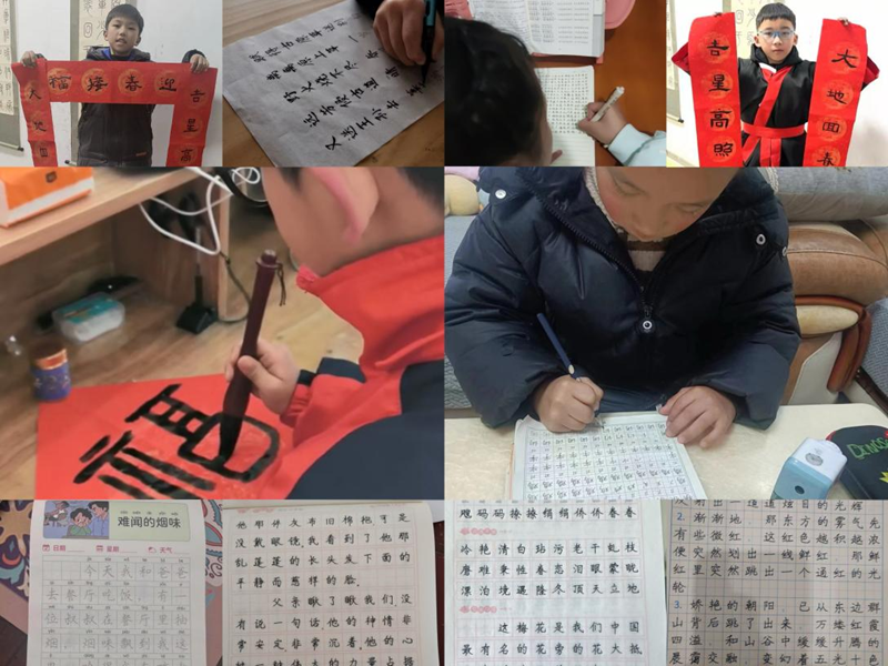 图片10.png 图片10.png