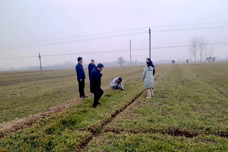 图片3.jpg 图片3.jpg