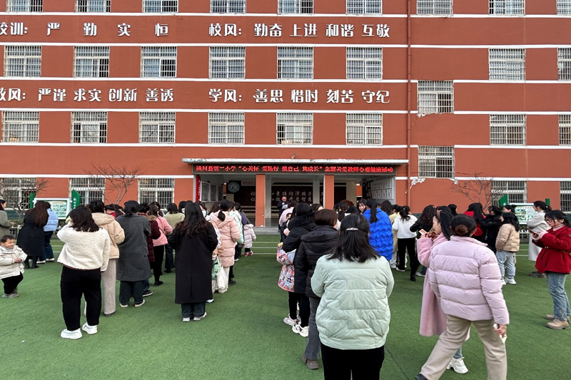 图片1.png 图片1.png