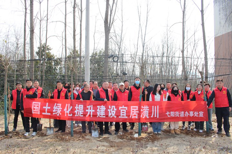 植树 (1).jpg