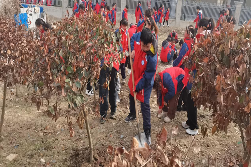 图片6.png