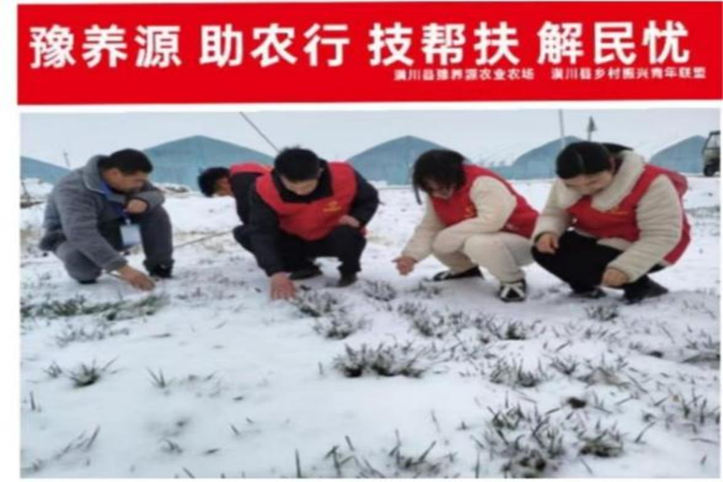 图片5.png