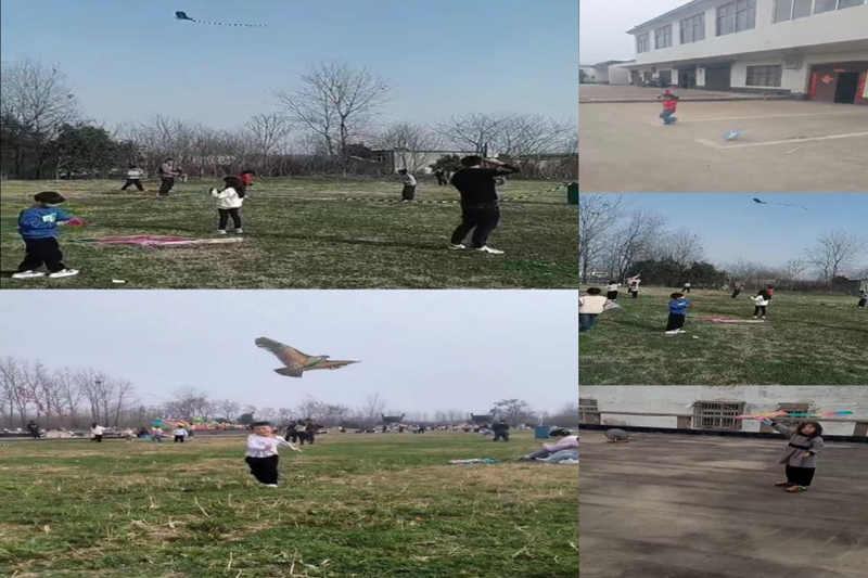 图片4.png 图片4.png