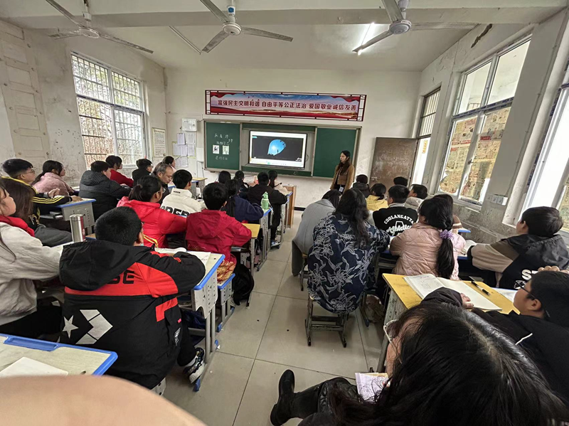 图片6.png