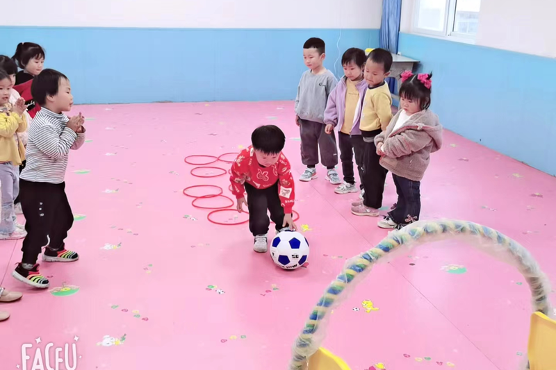 图片31.png