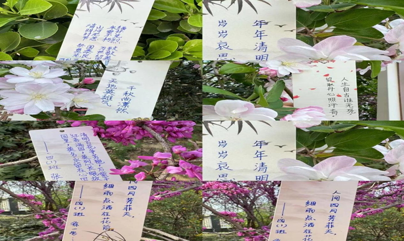 图片14.png