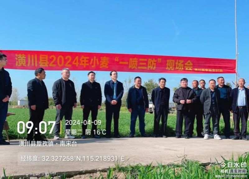 图片4.png