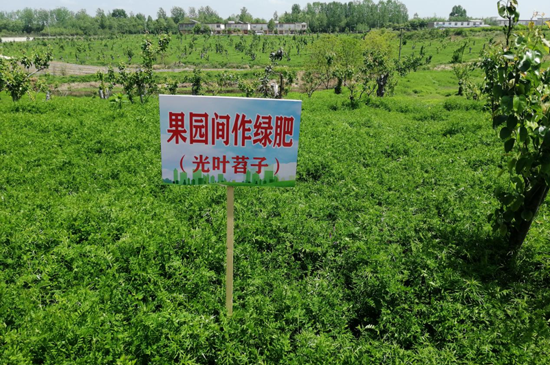 图片51.png 图片51.png