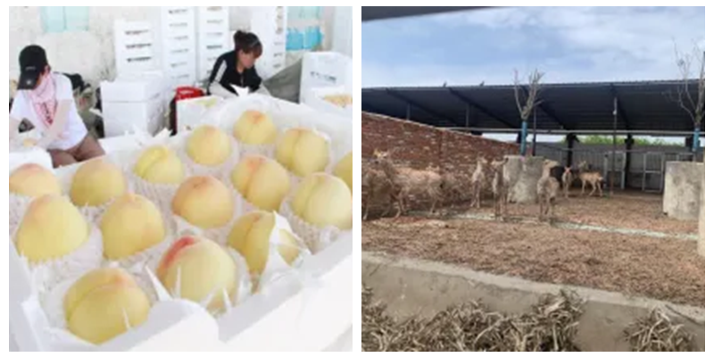 图片19.png 图片19.png