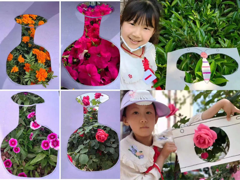 图片5.png 图片5.png