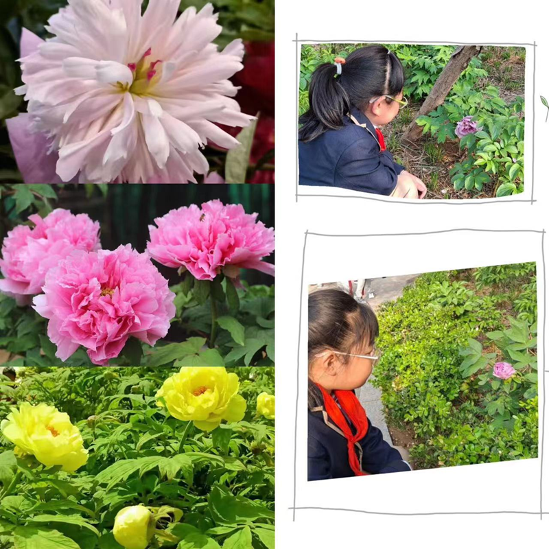图片6.png 图片6.png