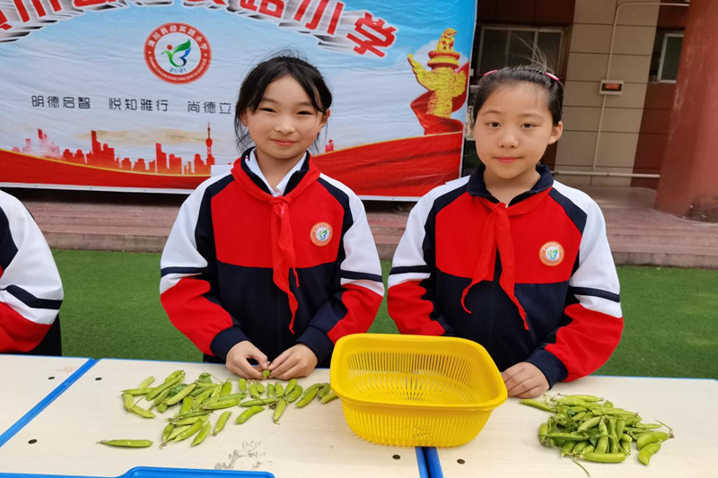 图片9.png