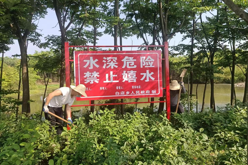 图片73.png 图片73.png