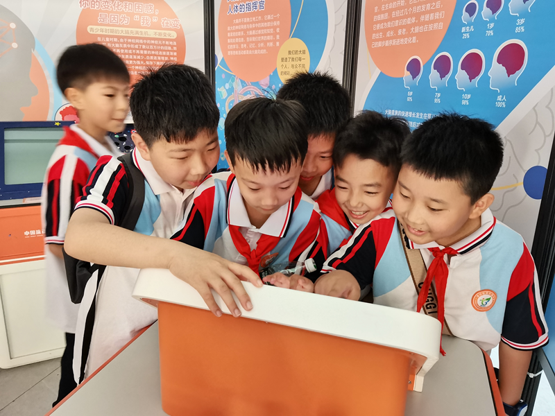 图片17.png