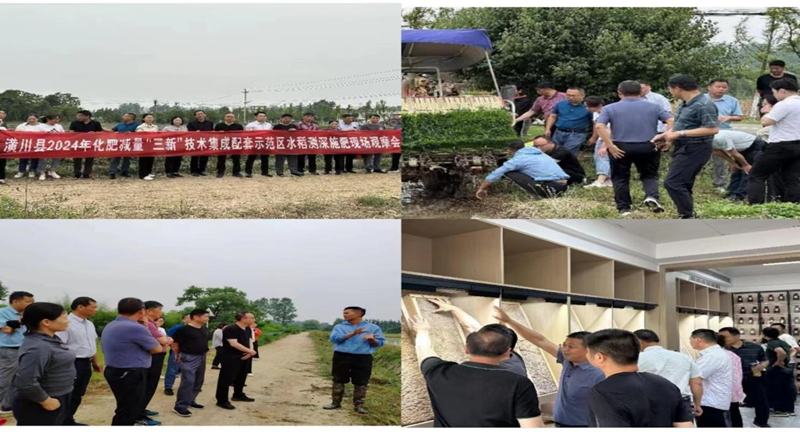 图片53.png 图片53.png