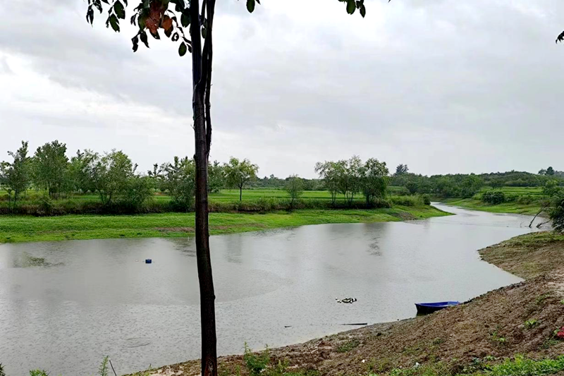 图片8.png 图片8.png