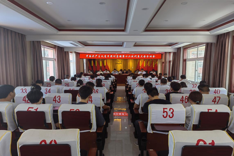 图片 8.png