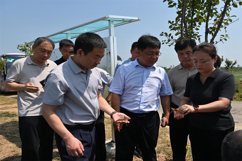 20240822112219208.jpg 20240822112219208.jpg