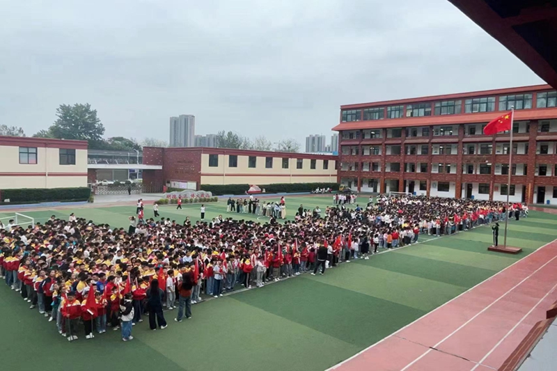 图片 38.png 图片 38.png
