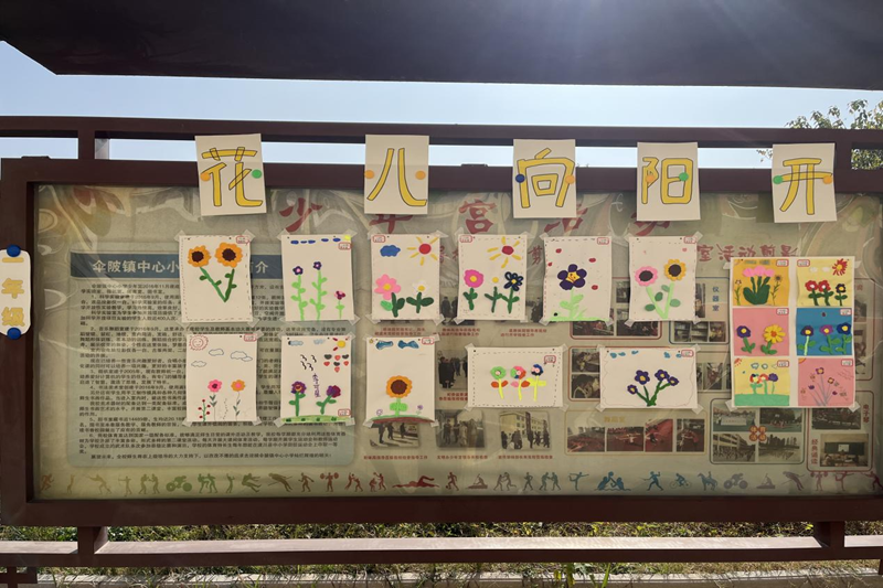 图片 5.png 图片 5.png