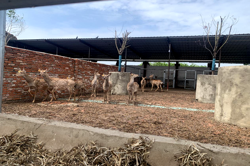 图片1.png 图片1.png