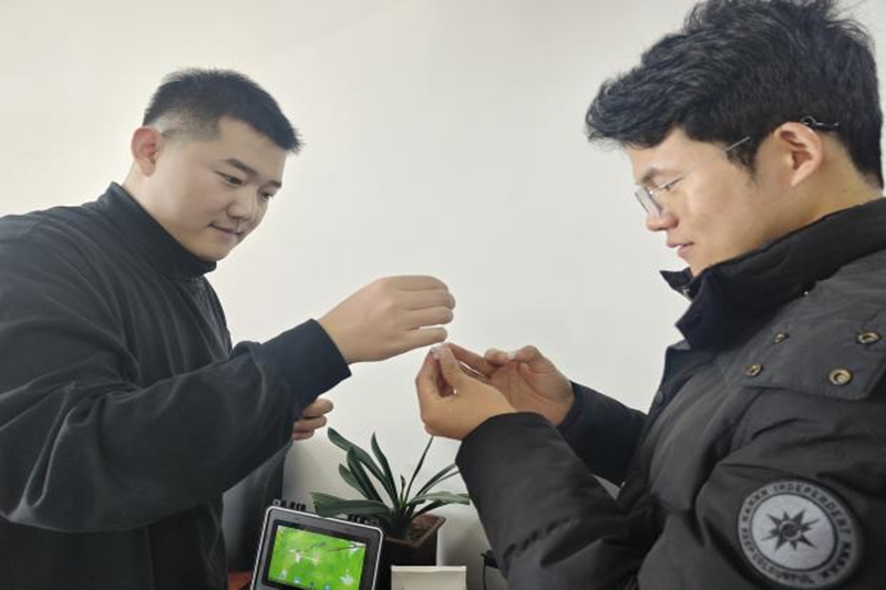 图片 1.png 图片 1.png