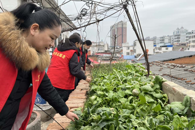 图片5.png 图片5.png