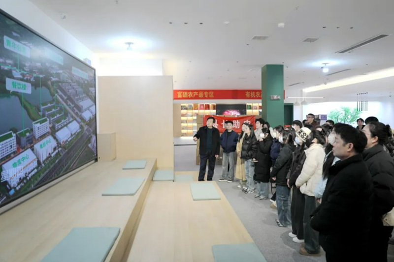 20250220220033229.png 20250220220033229.png