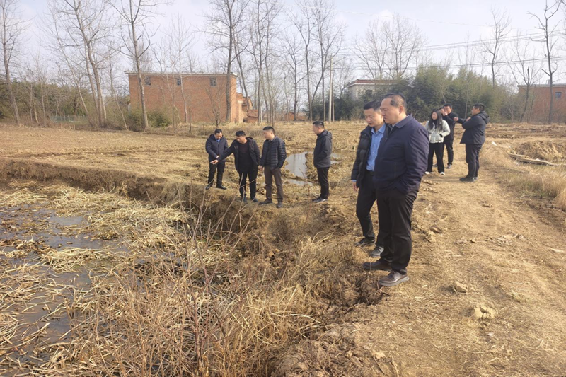 图片 1.png 图片 1.png