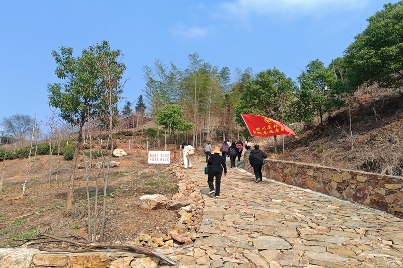 图片 2.png 图片 2.png