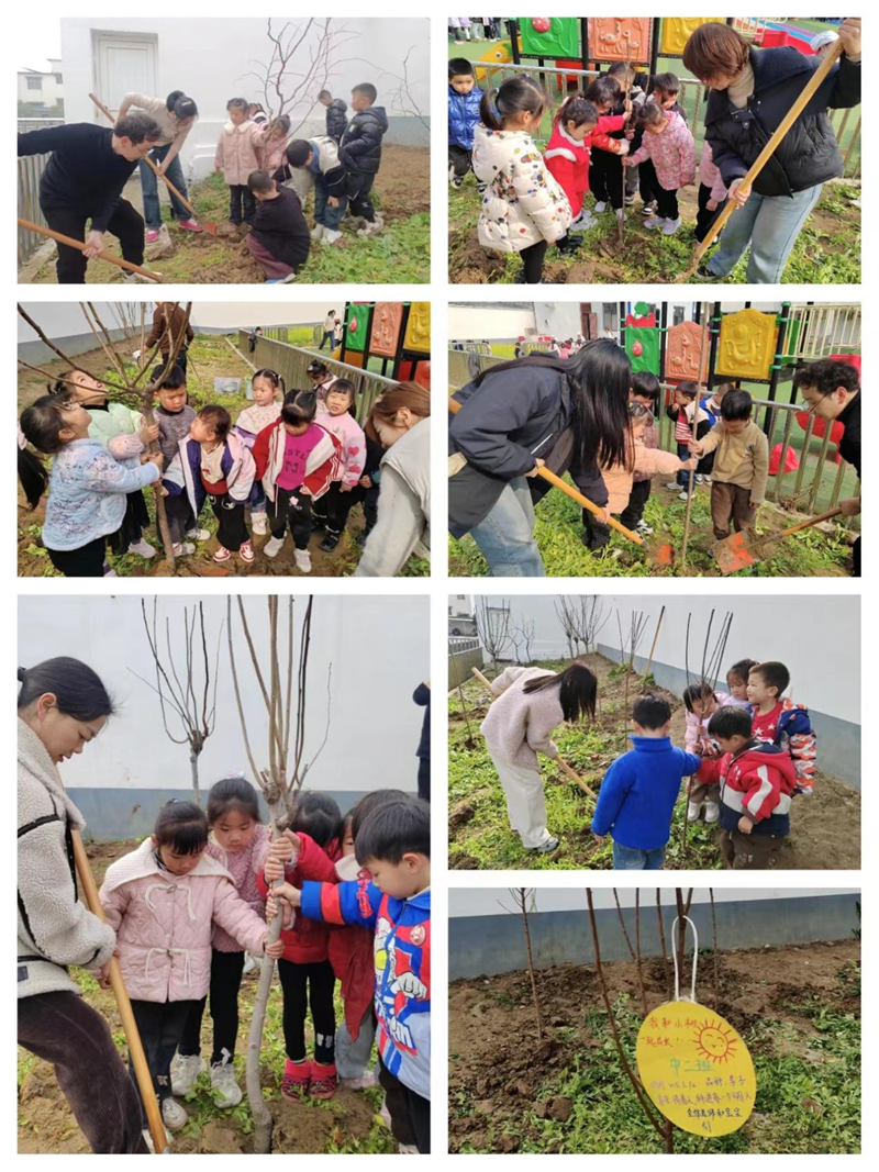 图片 3.png 图片 3.png