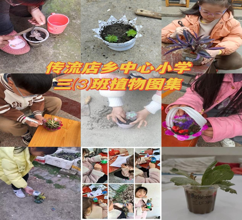 图片 1.png 图片 1.png