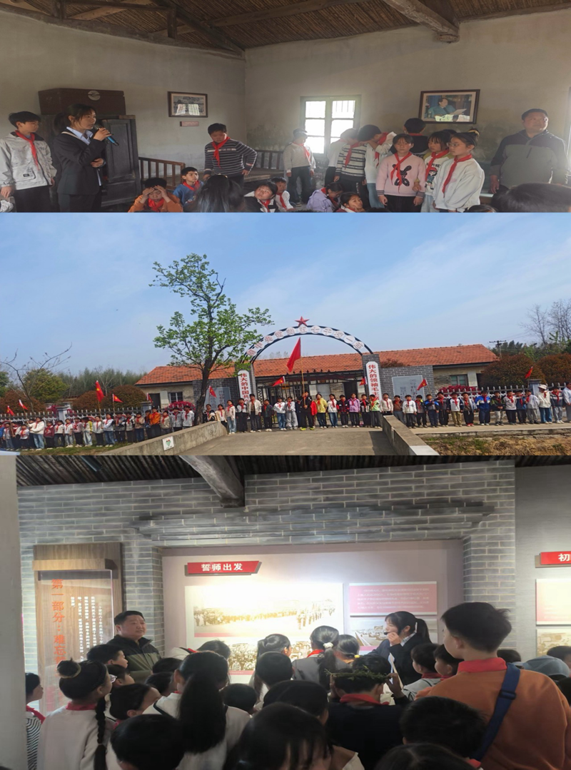 图片 5.png 图片 5.png