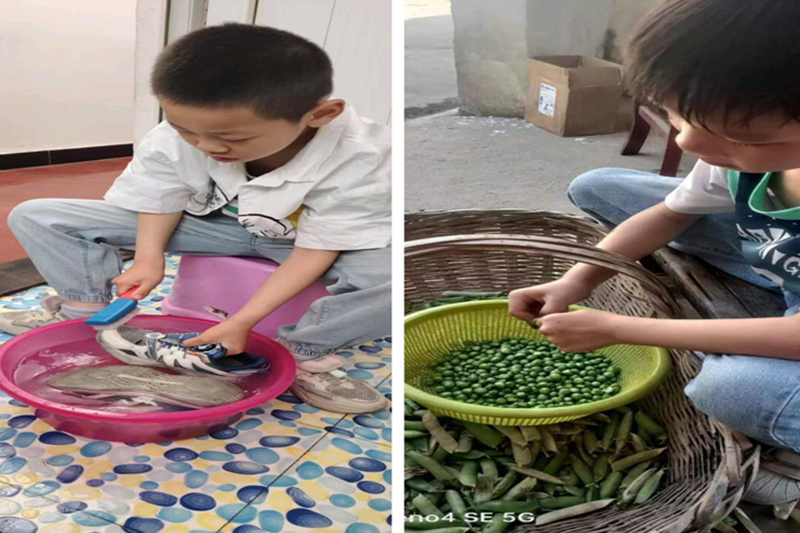 图片 14.png 图片 14.png