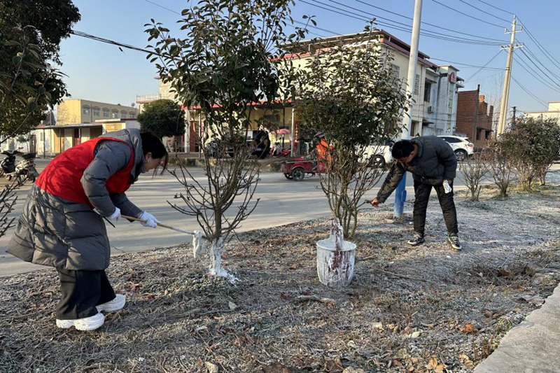 图片 4.png 图片 4.png