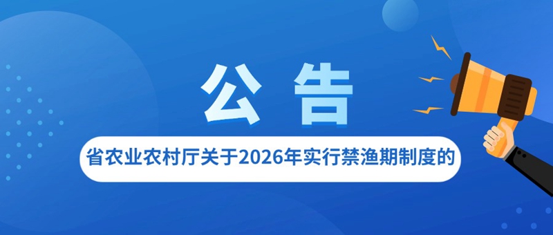 商务政务数字经济通知公示公告融媒体公众号首图(6).jpg 商务政务数字经济通知公示公告融媒体公众号首图(6).jpg