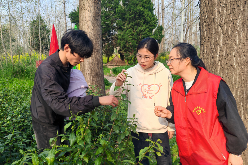 图片6.png 图片6.png