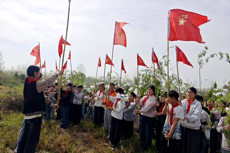 图片18.png 图片18.png