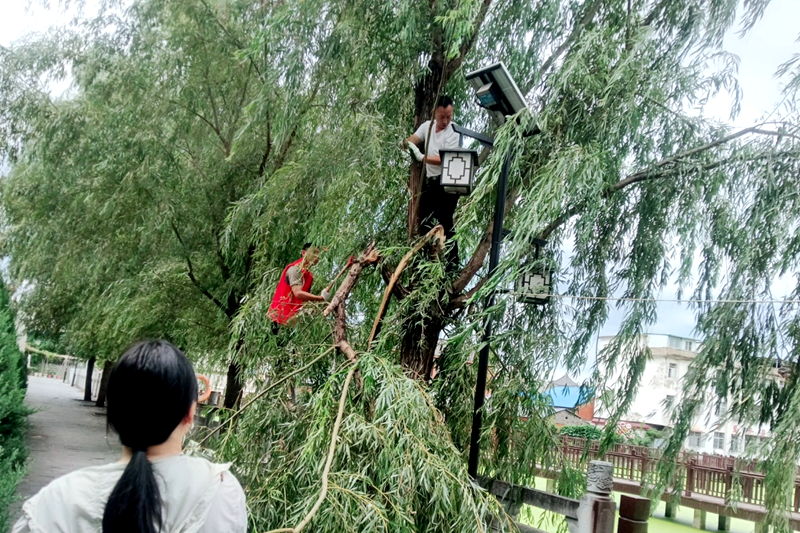 图片15.png 图片15.png