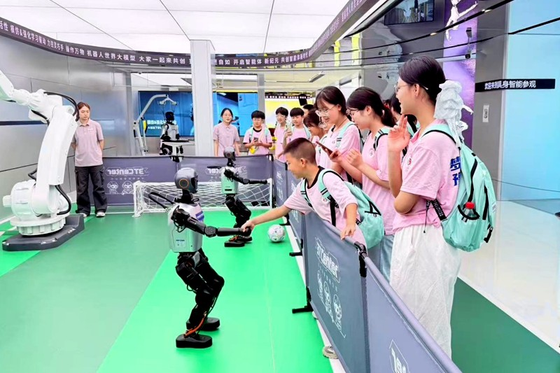 图片13.png 图片13.png