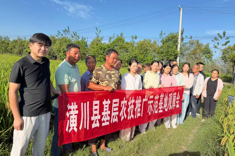 图片3.png 图片3.png