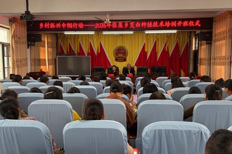 图片16.png 图片16.png
