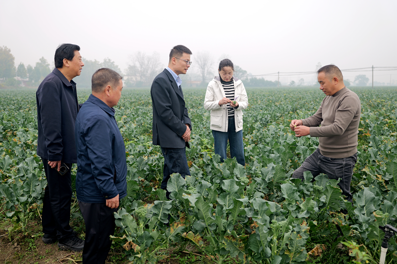 图片18.png 图片18.png